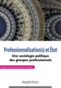 Professionnalisation(s) et État&nbsp;: une sociologie politique des groupes professionnels
