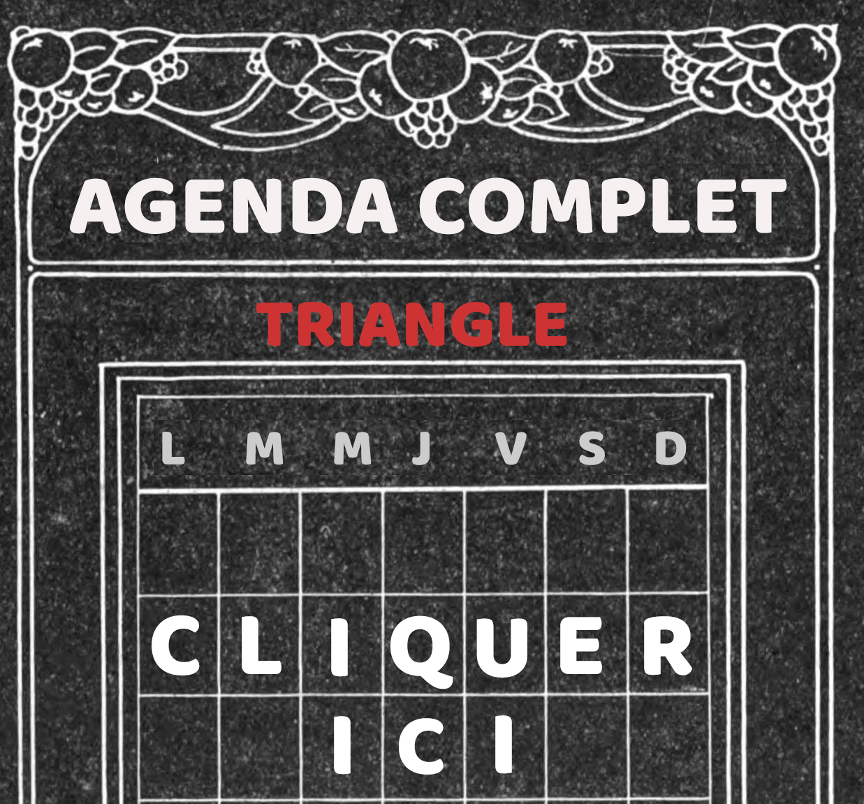 Triangle - UMR 5206 - Action, discours, pensée politique et économique